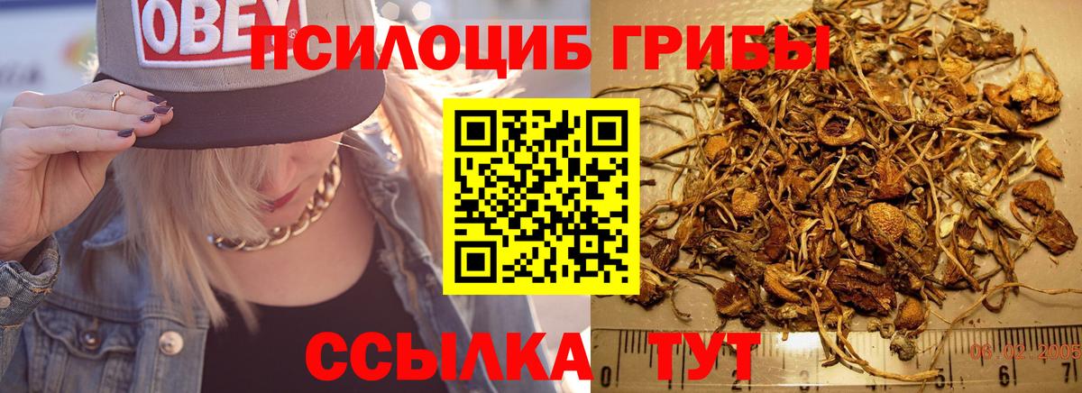 Галлюциногенные грибы мицелий  Псилоцибиновые грибы GOLDEN TEACHER  Качканар  Вход с VPN 